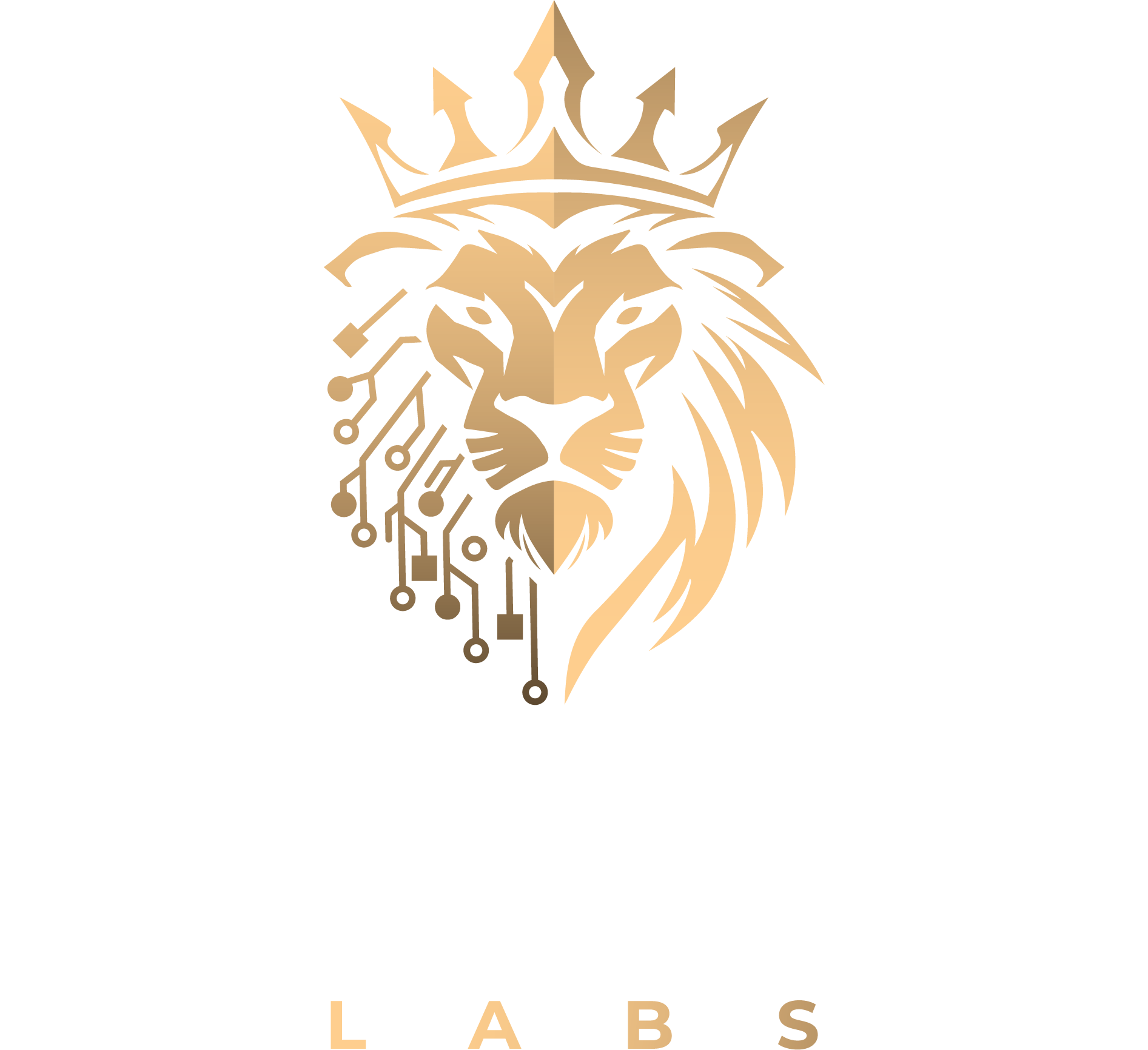KingTech Labs